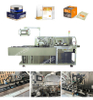 DZH-100/120 Automatic Carton Packing Machine