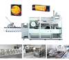 GZH-200 High-Speed Cartoning Machine